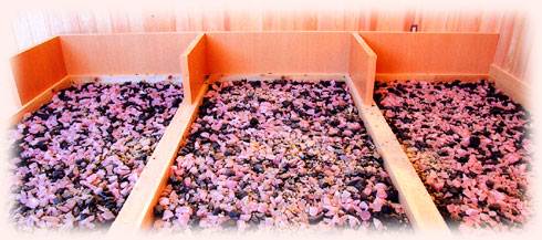 岩石浴・岩塩浴