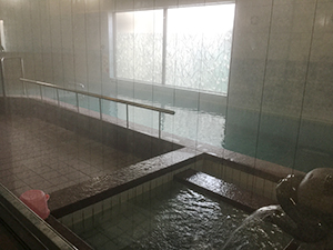 ぷ～るの湯（1室）　お部屋