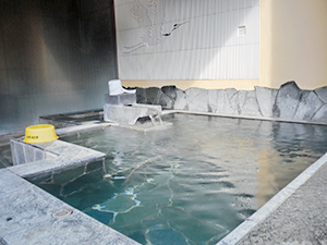 蔵の湯　竹の間（1室）　お風呂